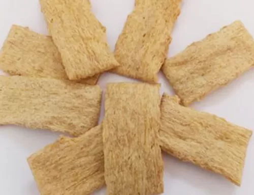 250-300 kg/h Dry Fibrous Textured Soya Protein Making Machine