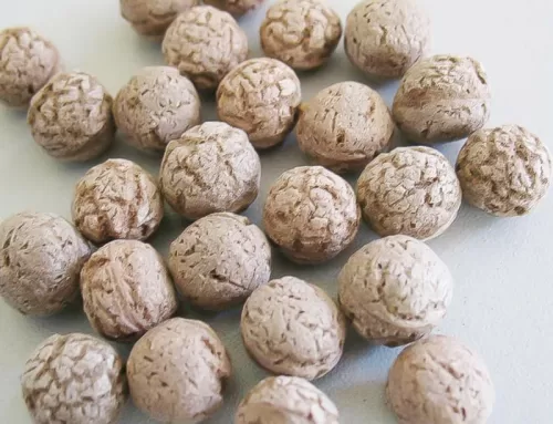 200-250kg/h Máquina procesadora de bolas de chocolate y cereales para el desayuno