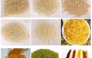 Fortified Rice/Instant Rice/Artificial Rice