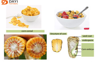 breakfast cereal